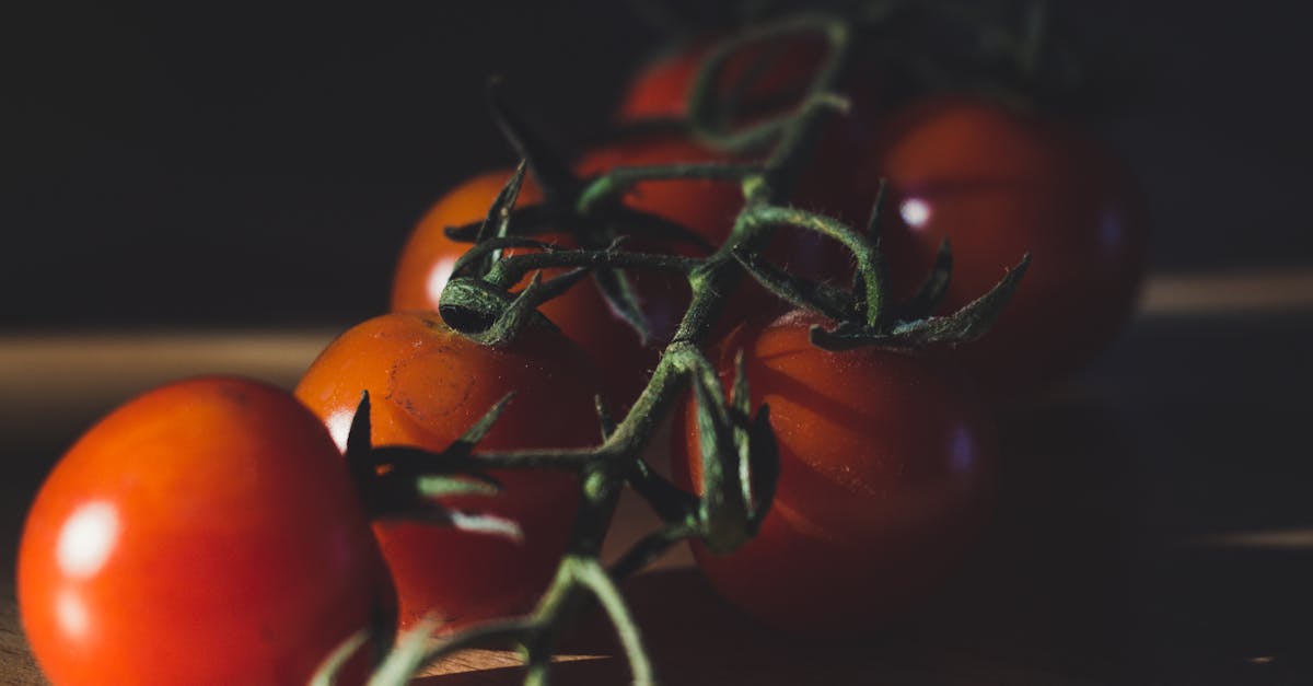 Comment cuisiner pour un grand groupe sans stress ?