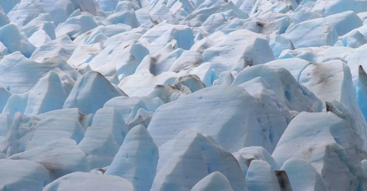 Comment lutter contre la montée des mers et le changement climatique ?