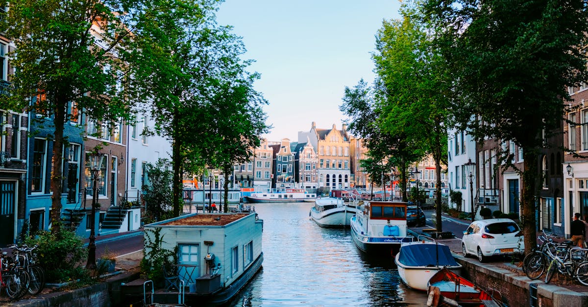 Depuis quand les Pays-Bas sont-ils un royaume ?