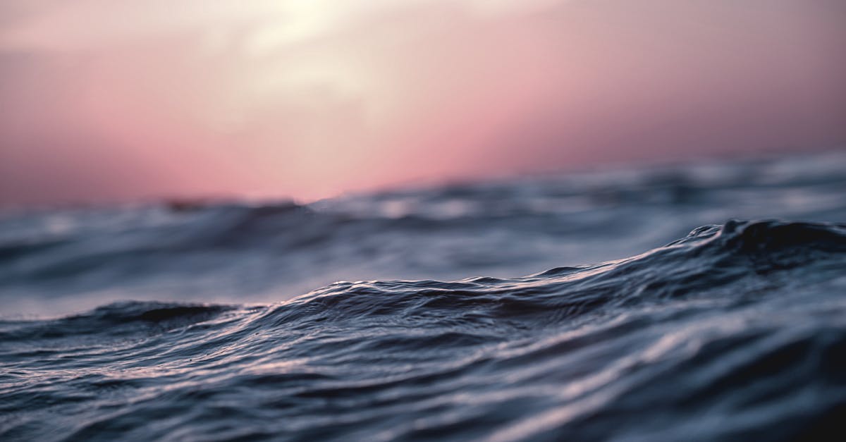 Pourquoi les couchers de soleil sur la mer fascinent-ils ?
