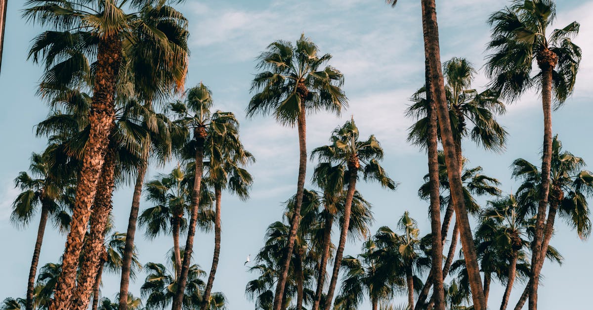 Pourquoi les vacances boostent-elles votre bien-être ?