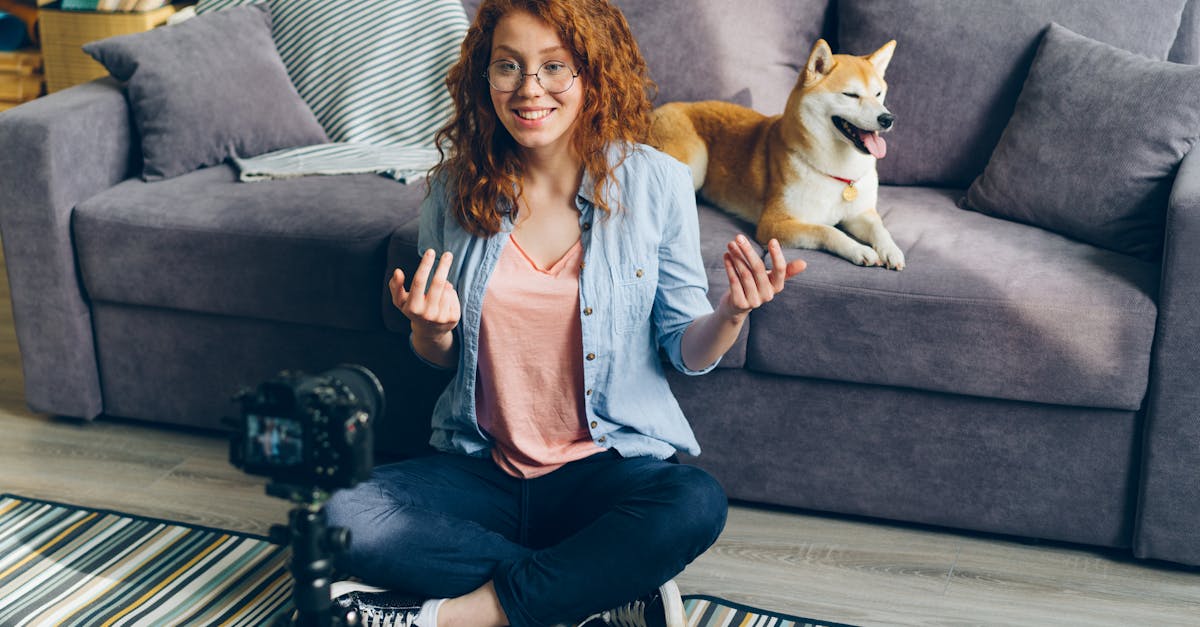 Pourquoi les vidéos de chats sur YouTube attirent-elles tant ?