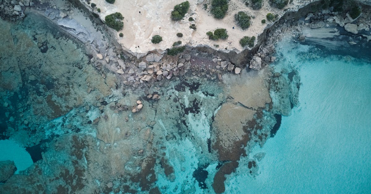 Pourquoi Paphos est-elle la destination de vacances parfaite ?