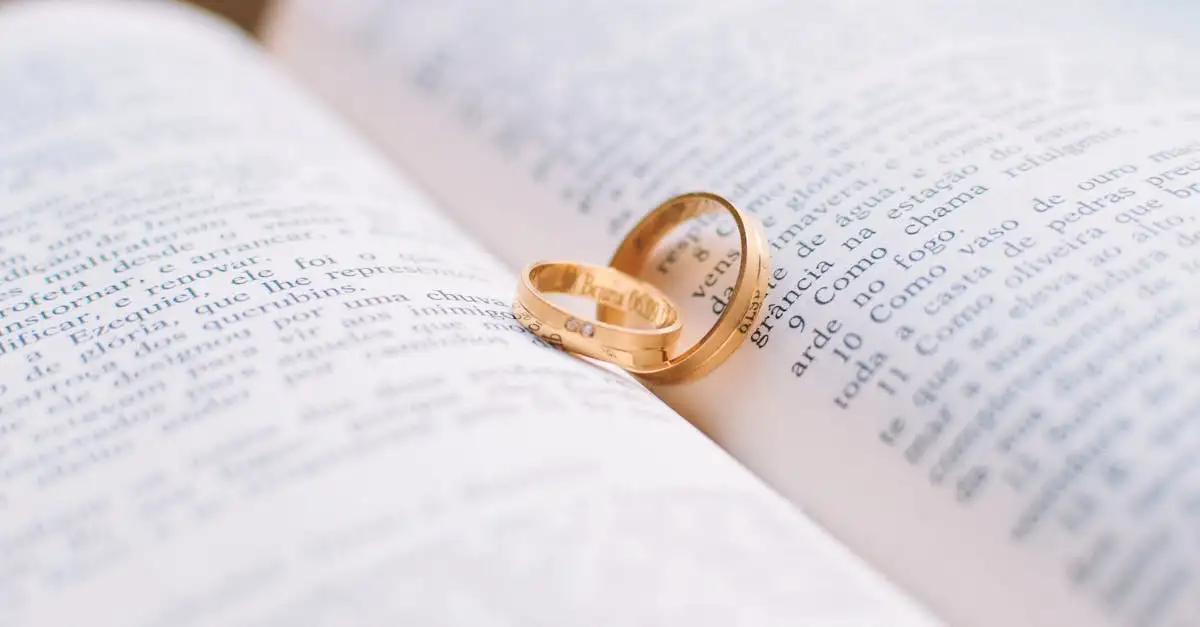 Quelle est la Promesse Célestine dans le livre ?