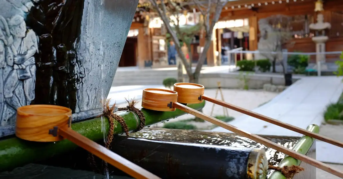 Quelle est la signification d'un jardin japonais pour nous ?