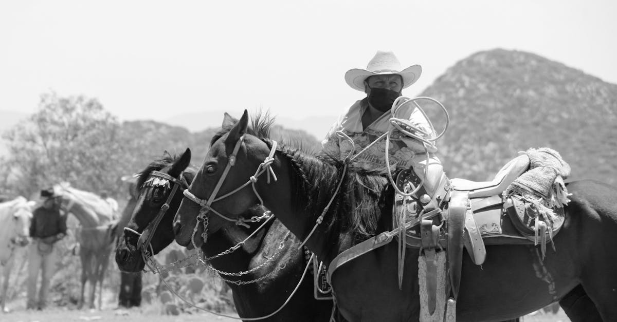 Quelle est l'histoire fascinante de Black Beauty ?