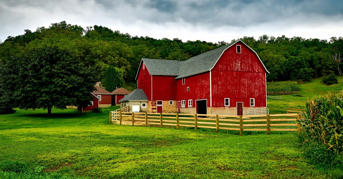 Quels sont les 5 plus grands festivals country aux États-Unis ?