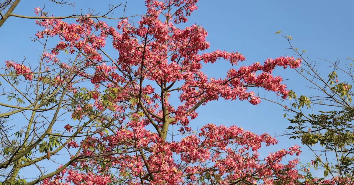 Quels sont les jardins botaniques et leur importance ?