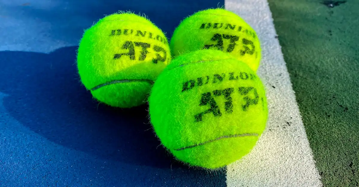 Qu'est-ce que les ATP Finals et pourquoi sont-elles si importantes ?