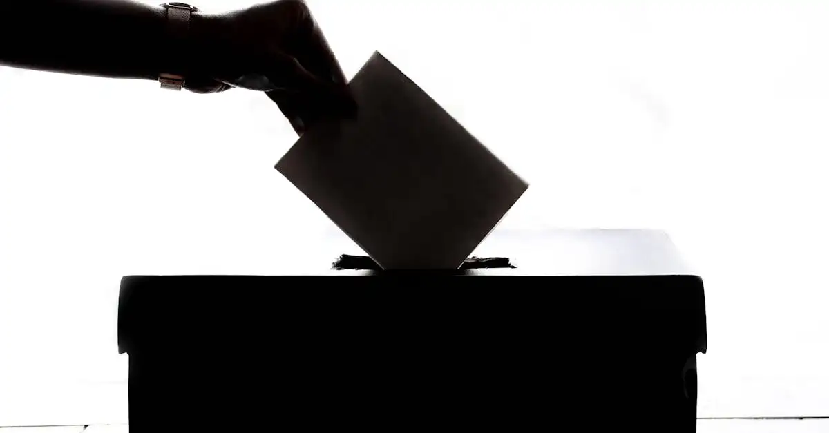 Qui est Pieter Omtzigt et quel est son rôle aujourd'hui ?
