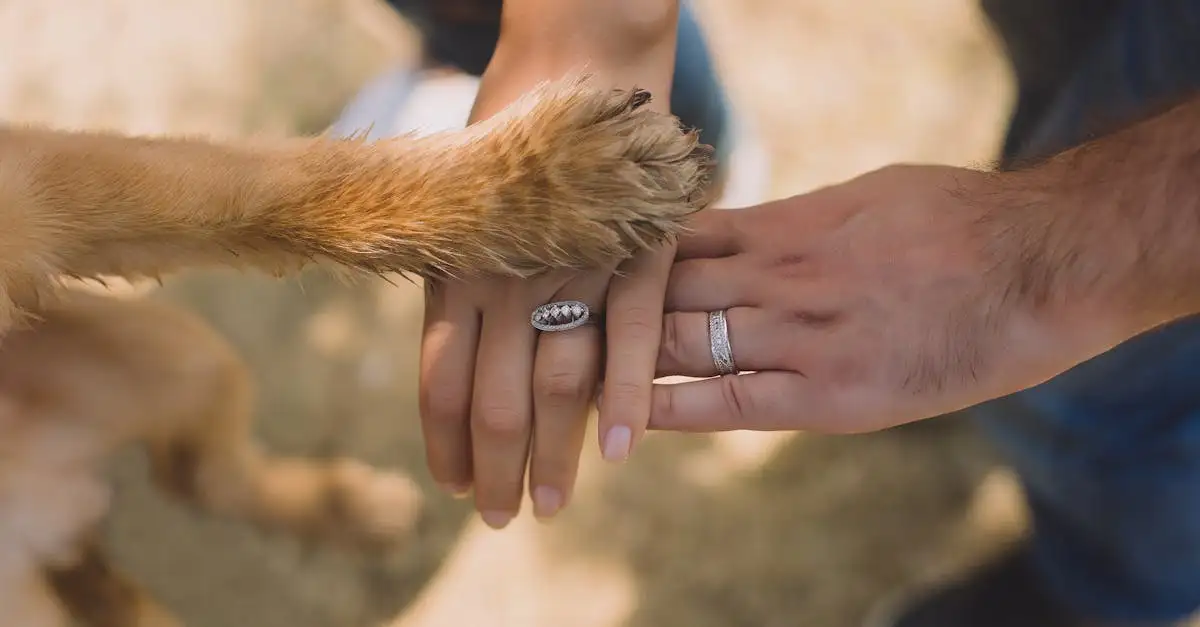 Comment les chiens aident-ils les personnes atteintes de SSPT ?