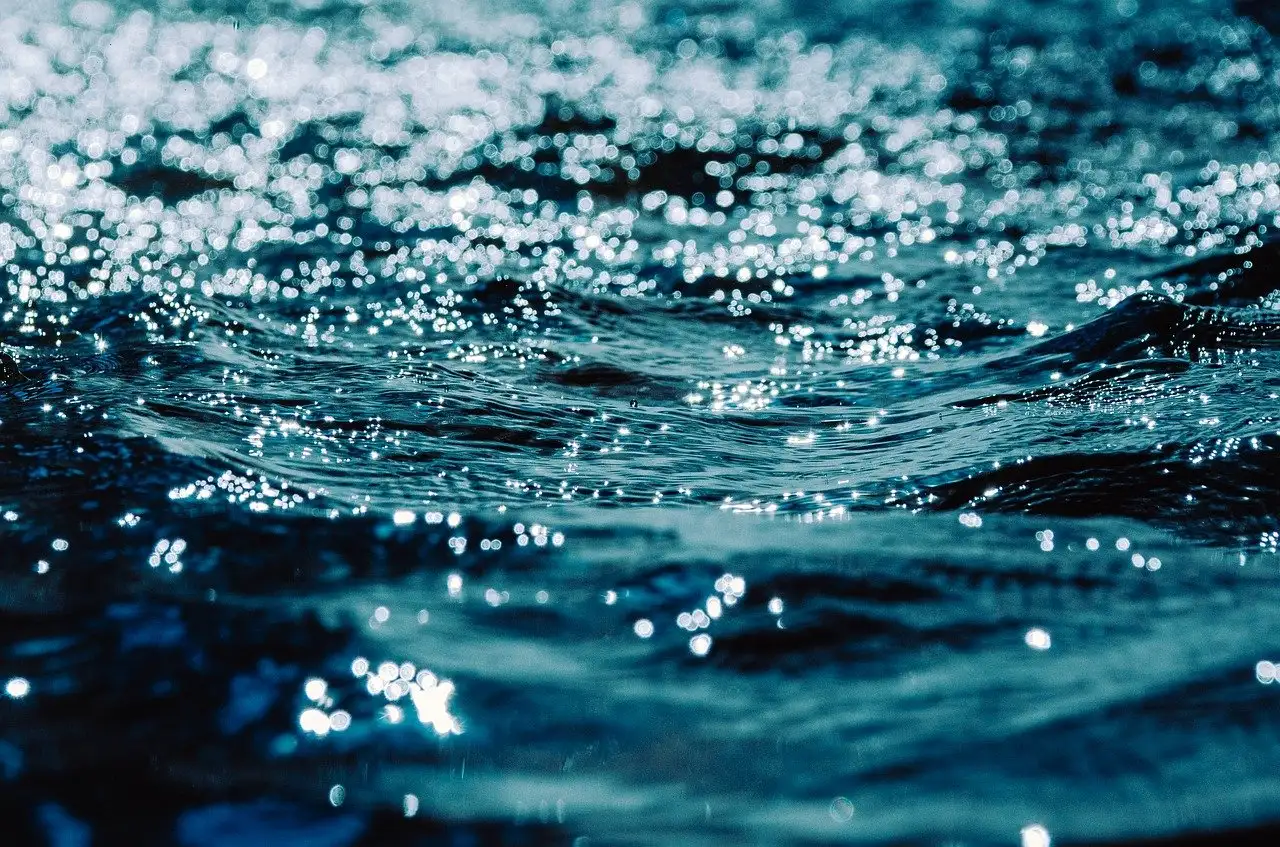 Comment un mélange d'eau et de liquide vaisselle élimine-t-il les pucerons ?