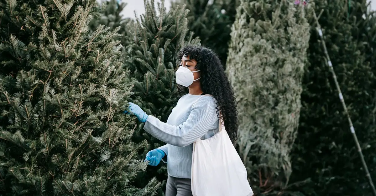 Entretenir un sapin de Noël ou choisir un sapin artificiel ?