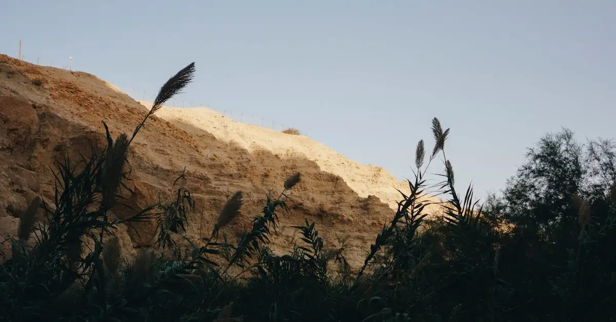 Où découvrir le lac salé unique du parc national d'Ein Gedi ?