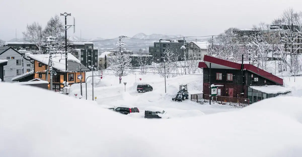 Où trouver les meilleures pistes de ski à Niseko, Japon ?