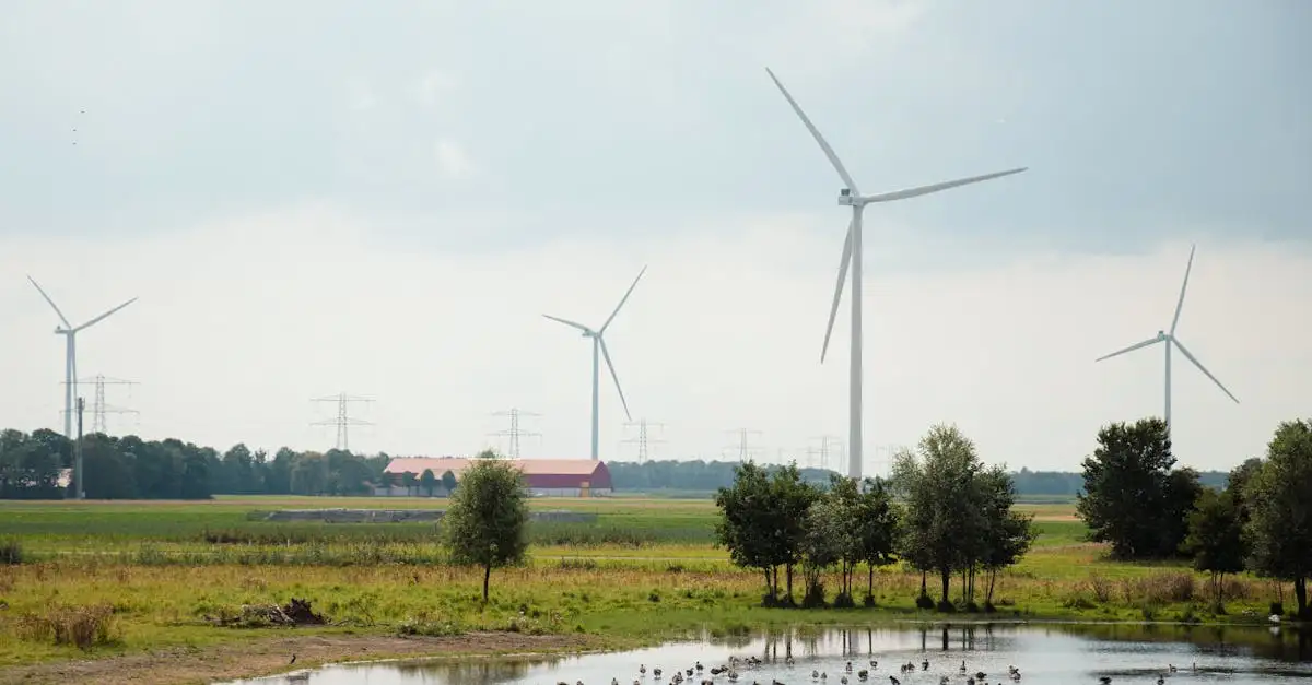 Pourquoi Denkend aan Holland est-elle si populaire ?