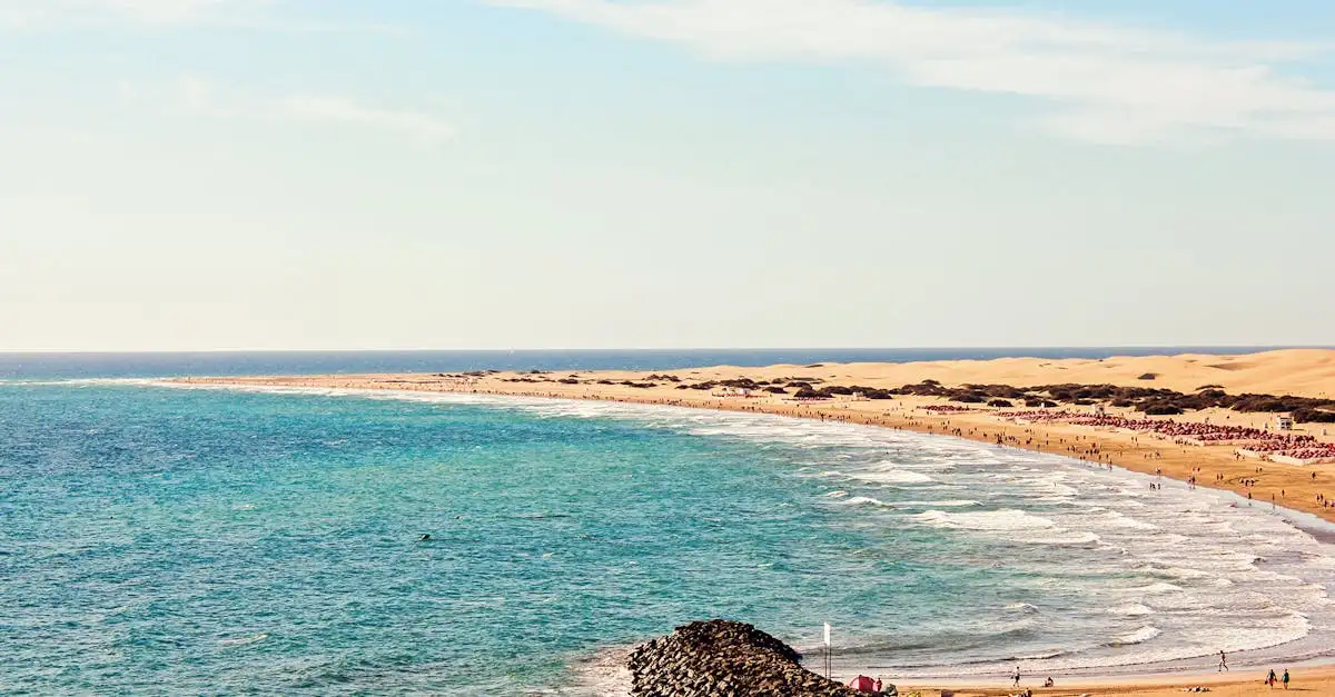 Quel désert en Namibie abrite la Côte des Squelettes ?