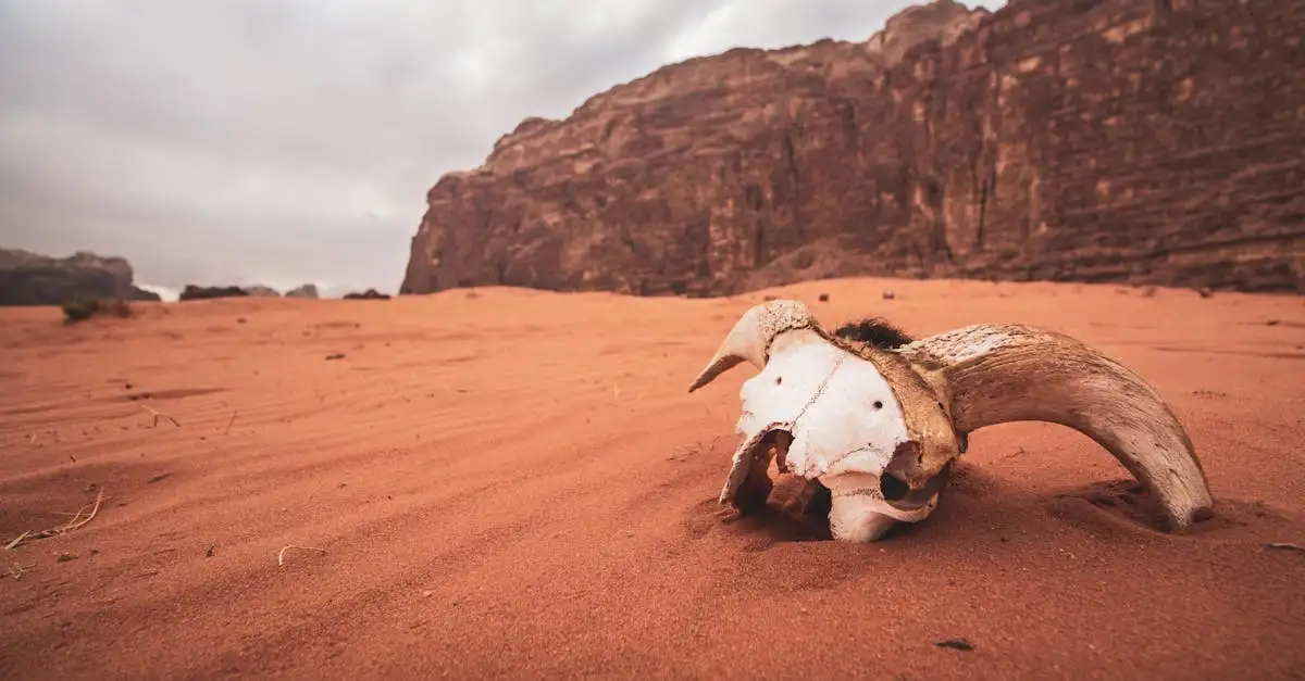 Quel est le parc naturel de Wadi Rum en Jordanie ?