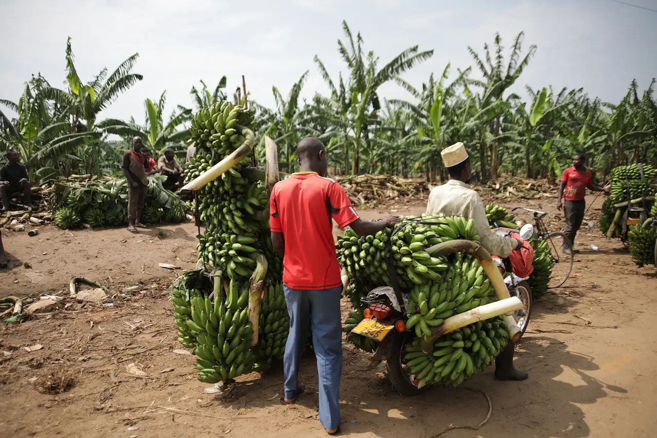 Quelle est la capitale de l'Ouganda et ses raisons historiques ?