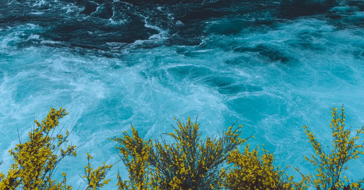 Quelle rivière alimente le lac Titicaca, le Desaguadero ?