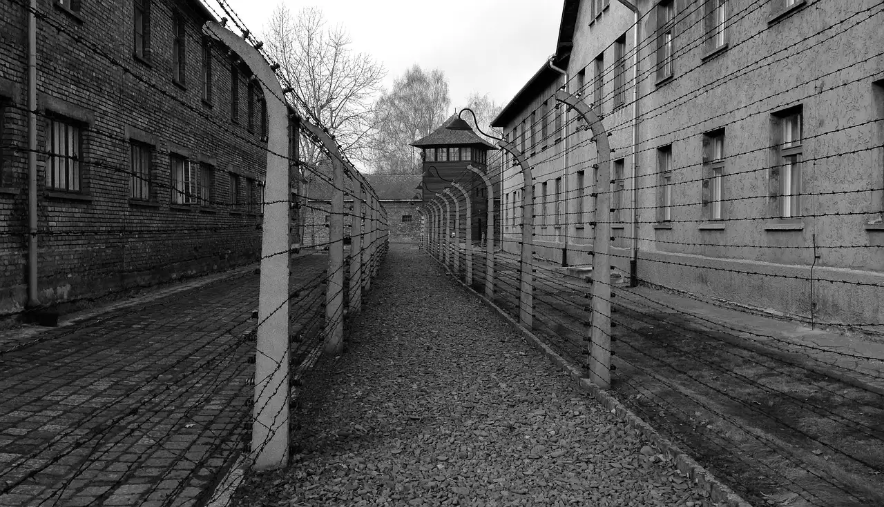 Quelle ville près du musée d'Auschwitz en Pologne ?