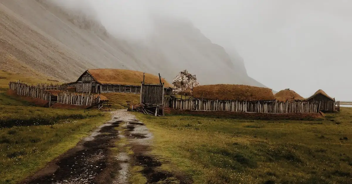Quelles routes commerciales ont empruntées les Vikings ?