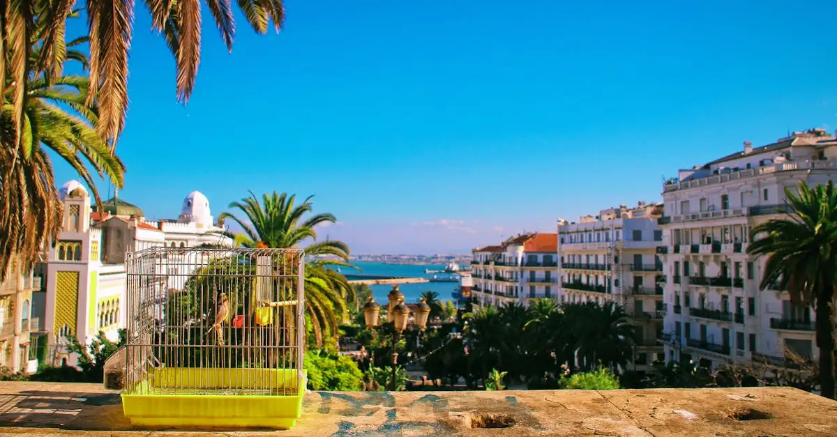 Quelles sont les 3 attractions incontournables en Algérie ?