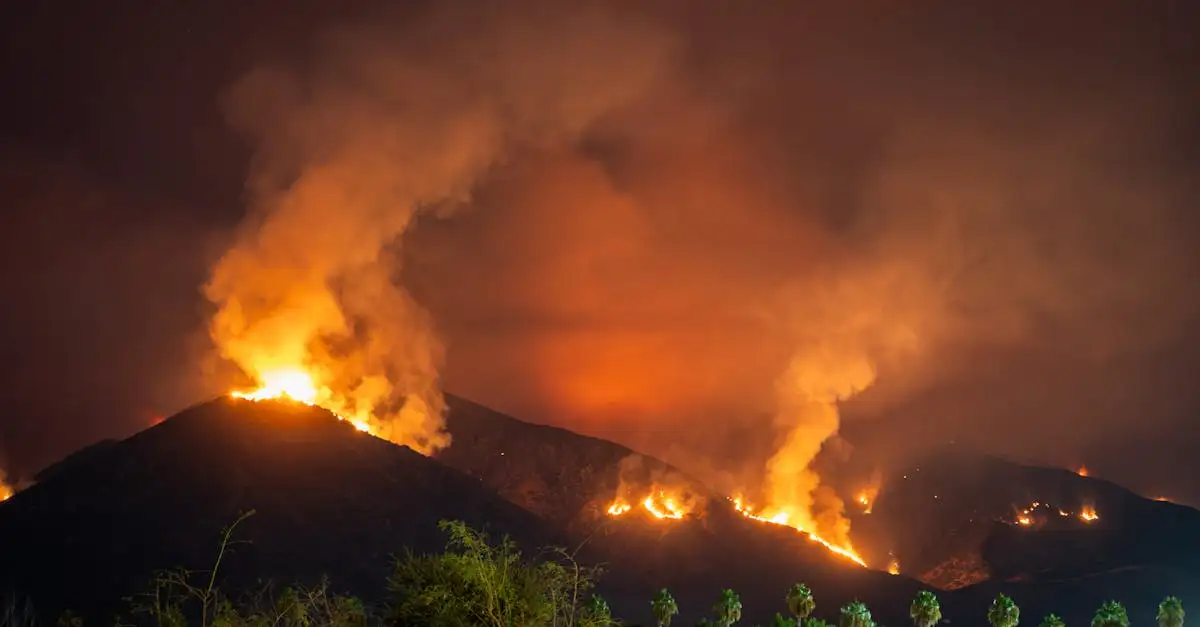 Quelles sont les causes des incendies de forêt en Californie 2021 ?