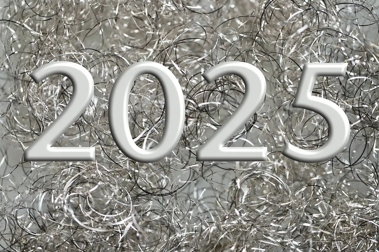 Quels sont les 5 meilleurs rasoirs électriques en 2025 ?