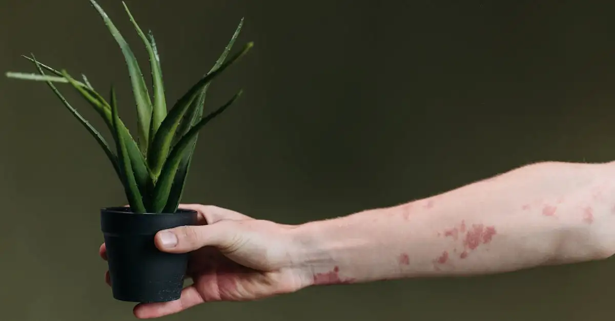 Comment appliquer l'aloe vera sur une peau sensible ?