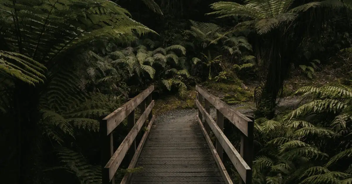 Quelle région d'Australie abrite des plantes uniques ?
