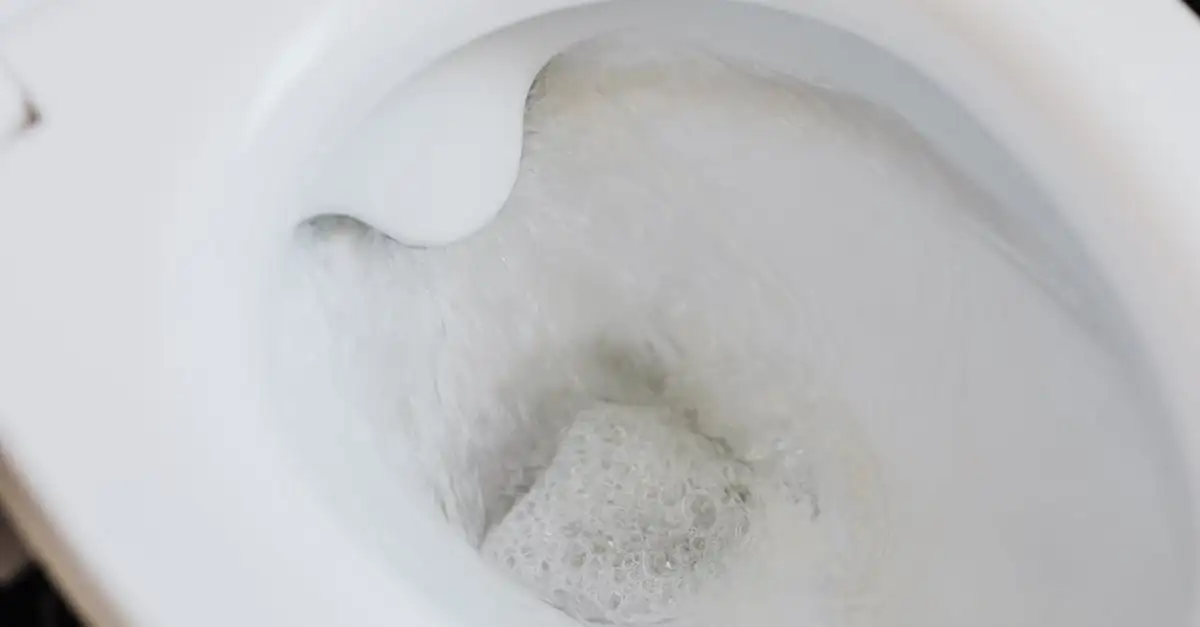 Comment utiliser les huiles essentielles pour des toilettes fraîches ?