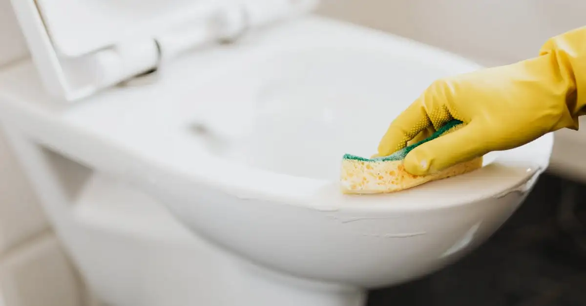Comment utiliser les huiles essentielles pour des toilettes fraîches ?