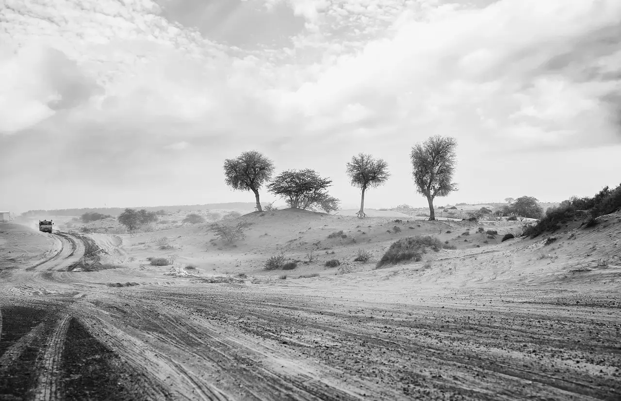 Pourquoi la Dust Bowl des années 30 a-t-elle été si dévastatrice ?