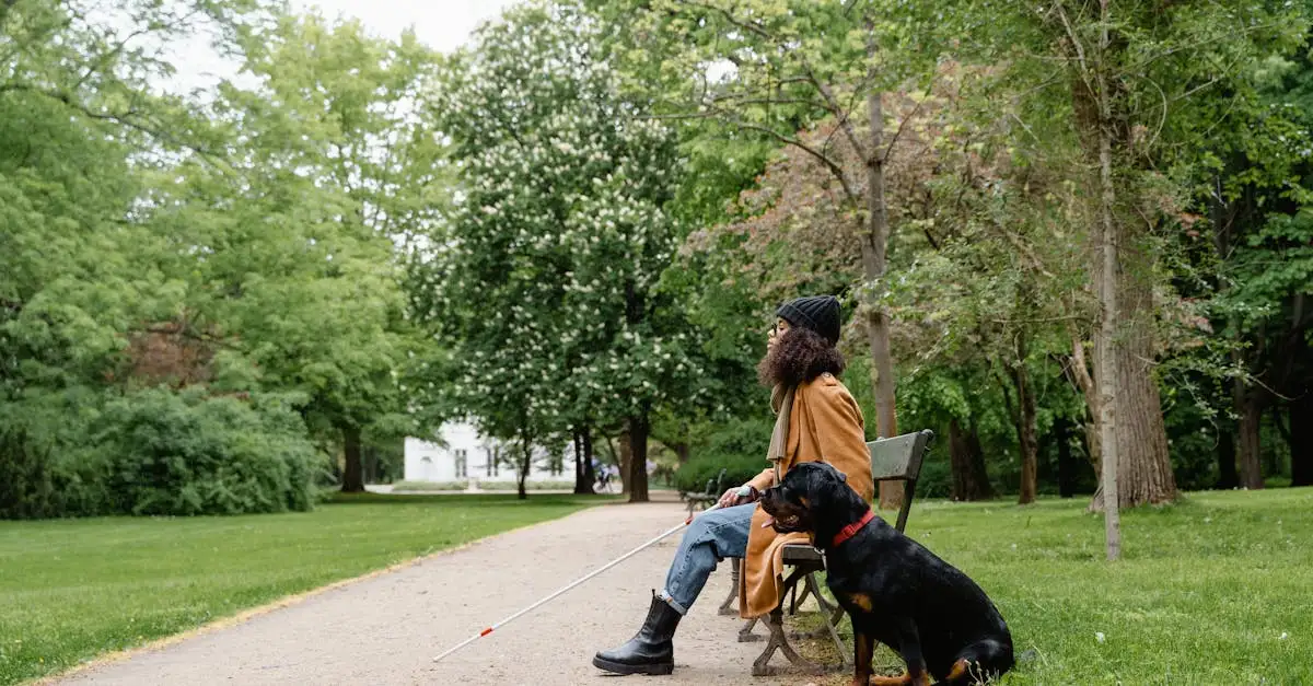 Comment les chiens d'assistance aident-ils les personnes handicapées ?