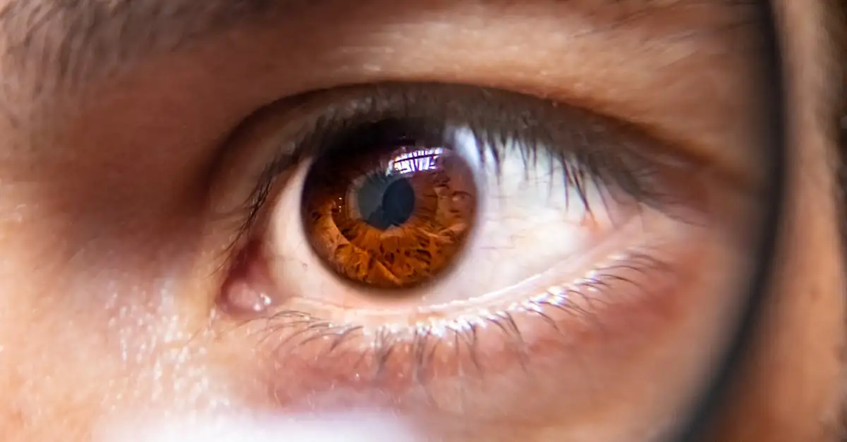 Comment renforcer vos cils avec de l'huile de ricin ?