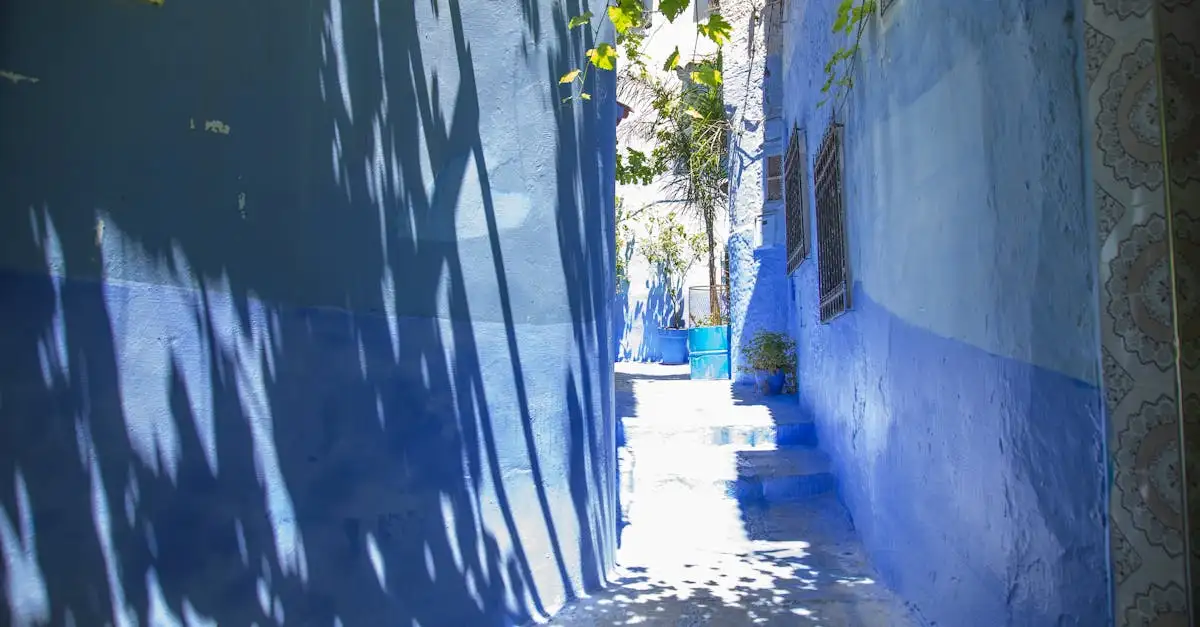 Pourquoi Chefchaouen est-elle surnommée la ville bleue du Maroc ?