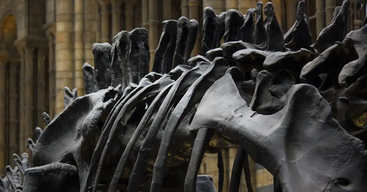 Que disent les empreintes dentaires fossilisées et les os ?