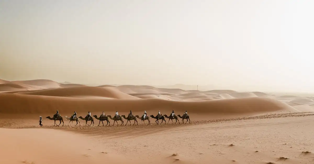 Quel désert africain possède d'énormes dunes de sable ?