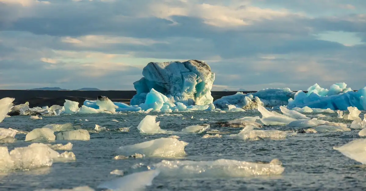 Quel est le désert le plus froid du monde : l'Antarctique ?