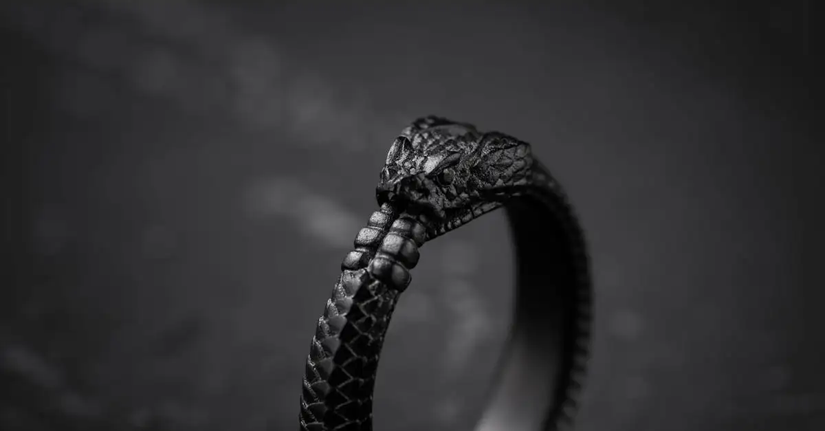 Quel est le symbole de l'anneau d'Andvari en mythologie ?