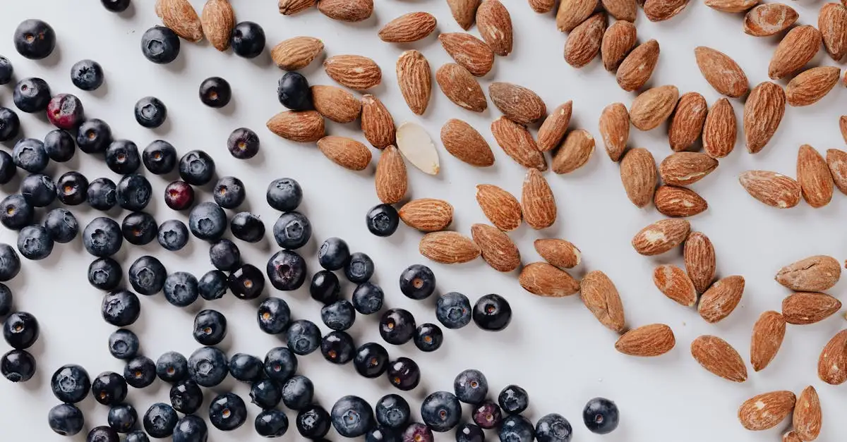 Quel rôle jouaient plantes et noix dans l'alimentation des Néandertaliens ?