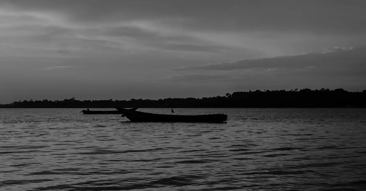 Quel rôle joue le lac Edward pour l'Ouganda et le Congo ?