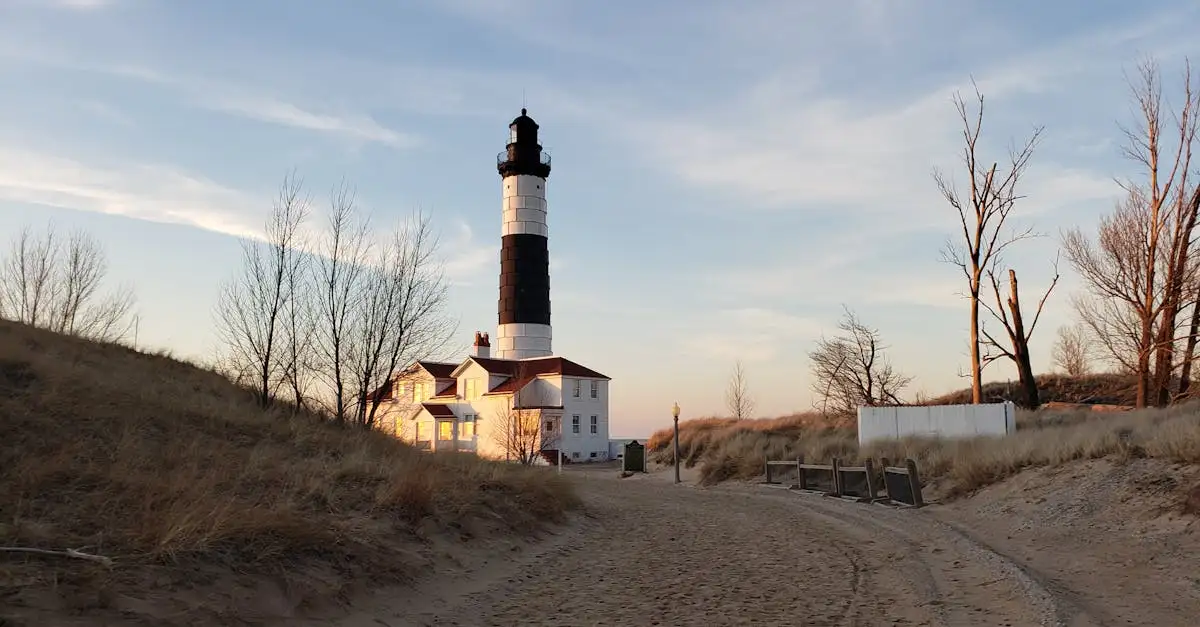 Quelle est l'histoire concise du Michigan en quelques lignes ?