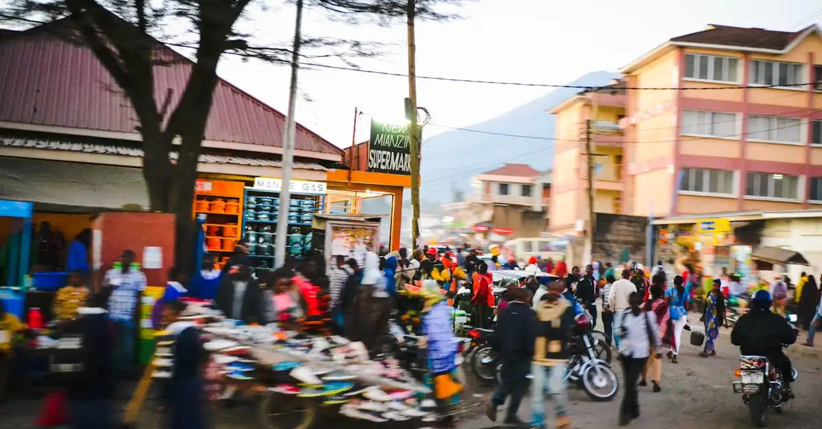 Quelle ville se trouve au pied du Kilimandjaro en Tanzanie ?