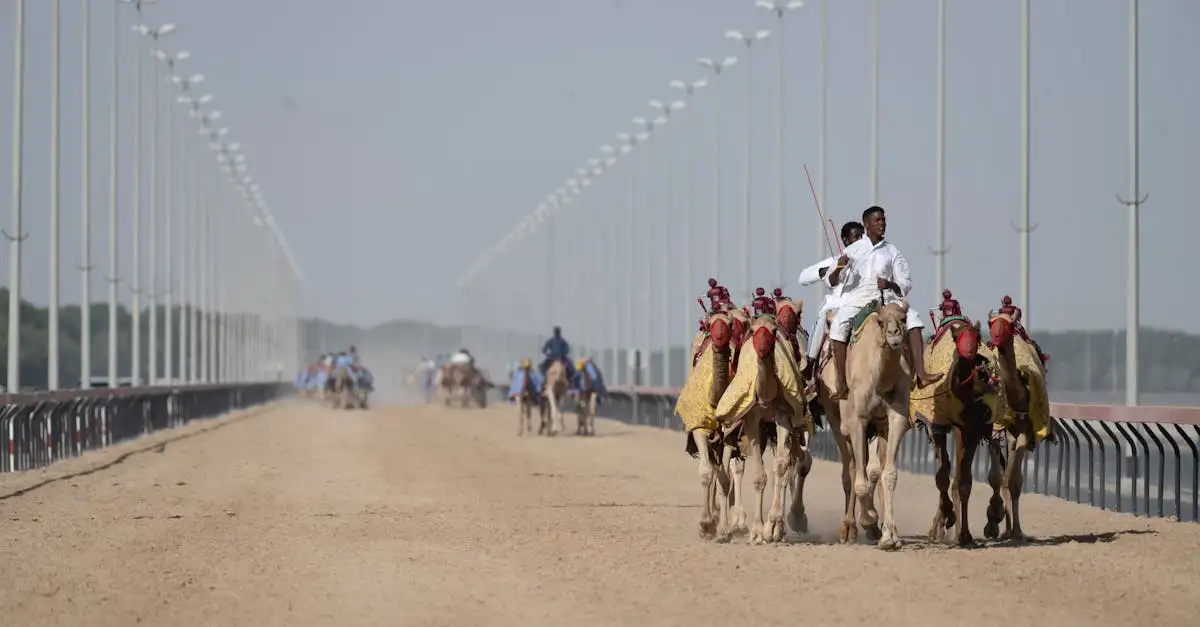 Quelles activités amusantes découvrir aux Émirats arabes unis ?