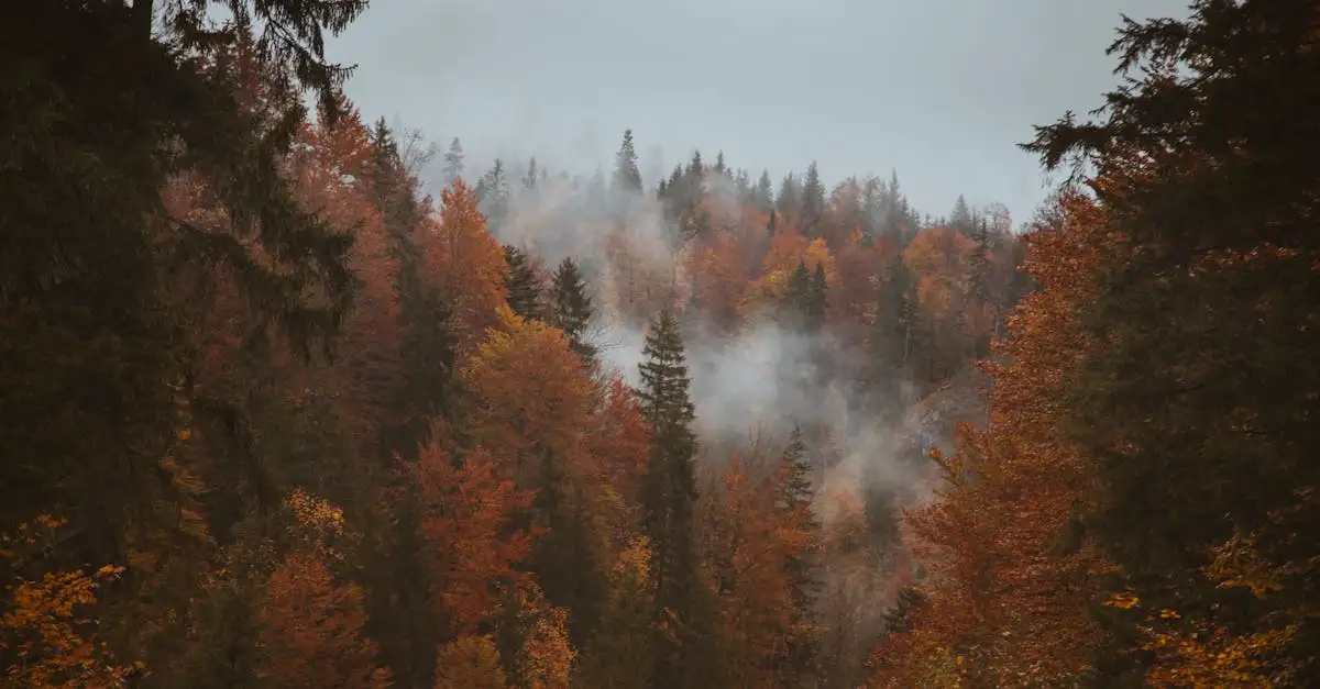 Qu'est-ce que le parc national Hohe Tauern en Autriche ?