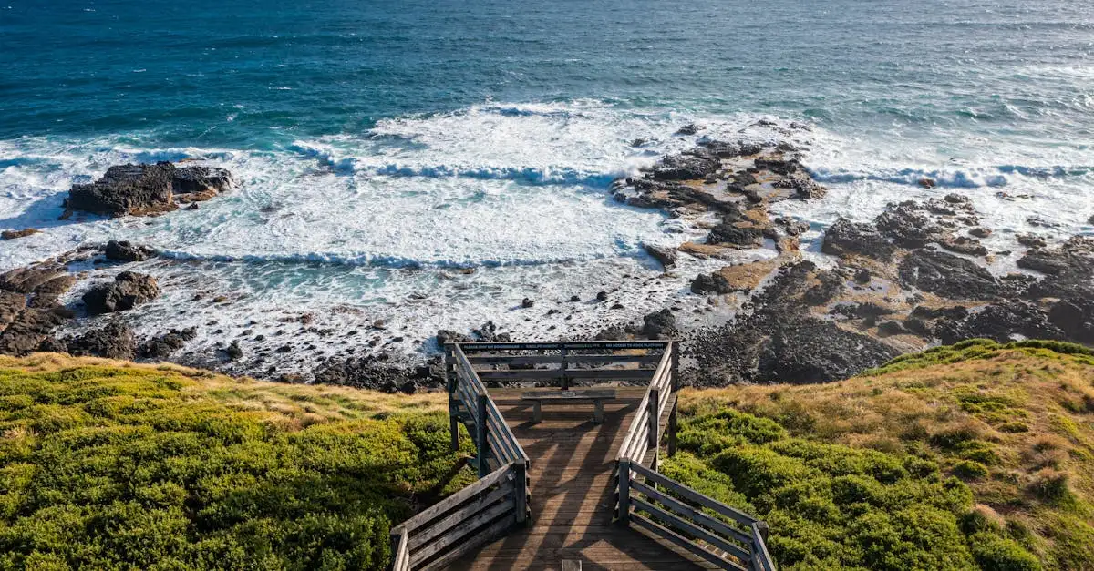 Pourquoi la parade des pingouins à Phillip Island fascine-t-elle ?