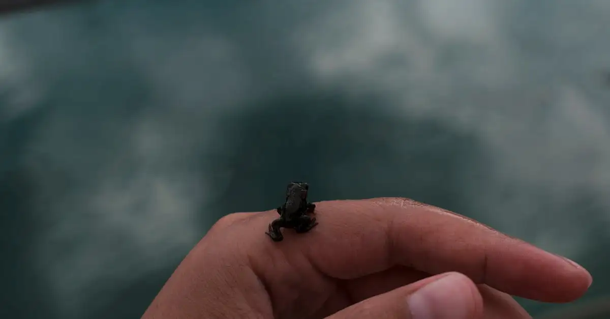 Pourquoi la peau des grenouilles est-elle si unique ?