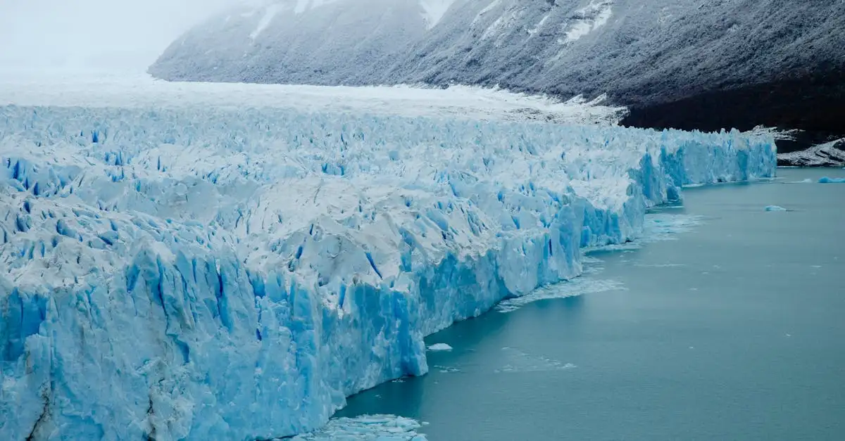 Pourquoi le glacier Perito Moreno attire-t-il tant de visiteurs ?
